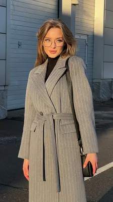 Модель 217